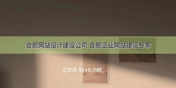 合肥网站设计建设公司 合肥企业网站建设专家