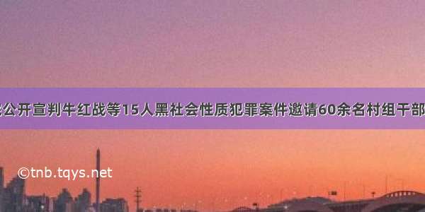 蒲城法院公开宣判牛红战等15人黑社会性质犯罪案件邀请60余名村组干部现场旁听