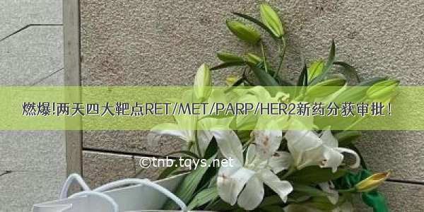 燃爆!两天四大靶点RET/MET/PARP/HER2新药分获审批！