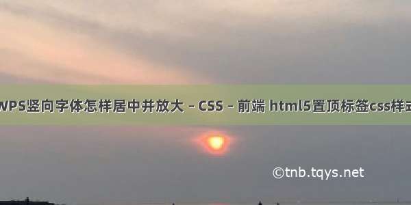 WPS竖向字体怎样居中并放大 – CSS – 前端 html5置顶标签css样式