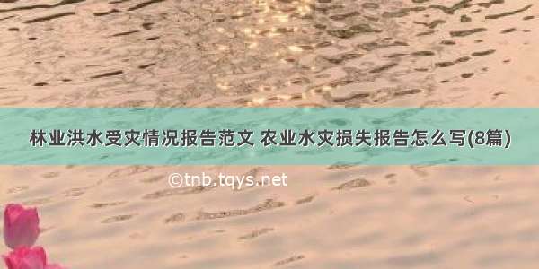 林业洪水受灾情况报告范文 农业水灾损失报告怎么写(8篇)