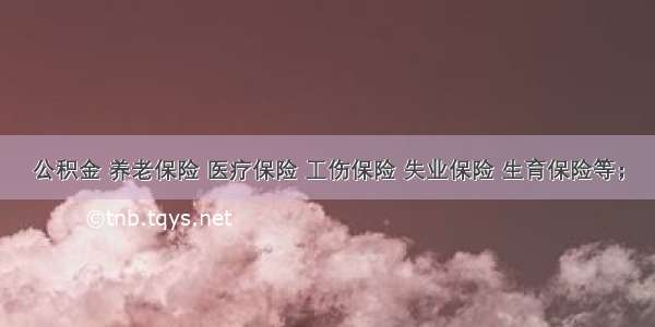 公积金 养老保险 医疗保险 工伤保险 失业保险 生育保险等；