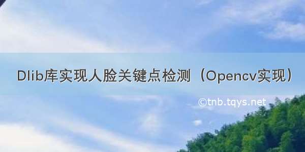 Dlib库实现人脸关键点检测（Opencv实现）