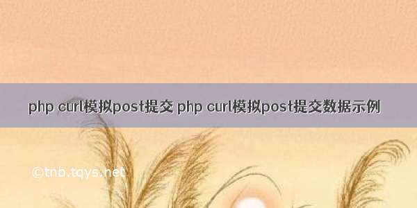 php curl模拟post提交 php curl模拟post提交数据示例