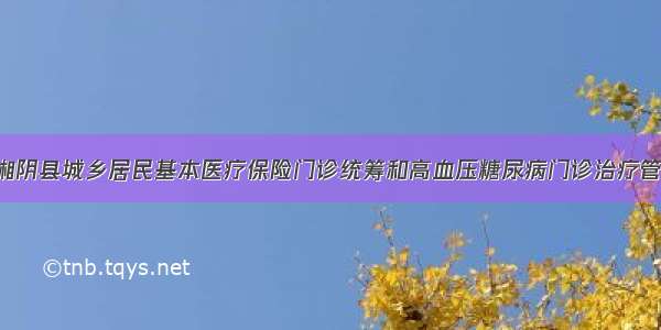 关于印发《湘阴县城乡居民基本医疗保险门诊统筹和高血压糖尿病门诊治疗管理实施 办法