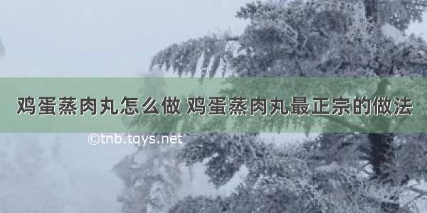 鸡蛋蒸肉丸怎么做 鸡蛋蒸肉丸最正宗的做法