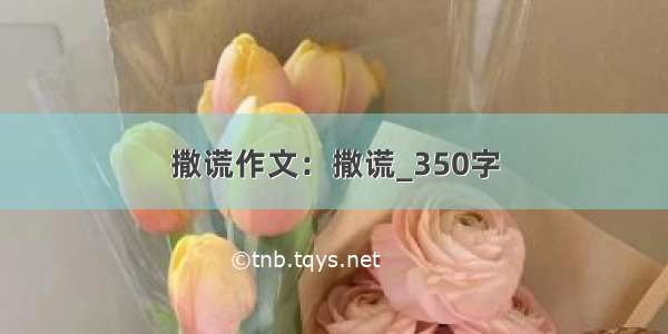 撒谎作文：撒谎_350字