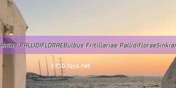 伊贝母BULBUS FRITILLARIAE PALLIDIFLORAEBulbus Fritillariae PallidifloraeSinkiang Fritillary Bulb