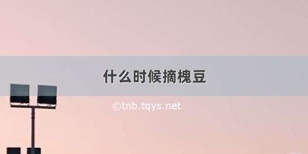 什么时候摘槐豆