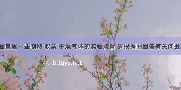 下图是实验室里一些制取 收集 干燥气体的实验装置 请根据图回答有关问题．（1）写