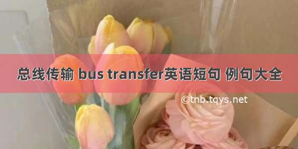 总线传输 bus transfer英语短句 例句大全