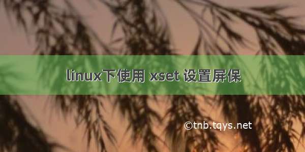 linux下使用 xset 设置屏保