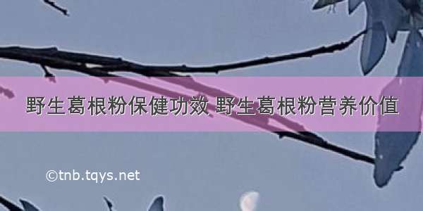 野生葛根粉保健功效 野生葛根粉营养价值