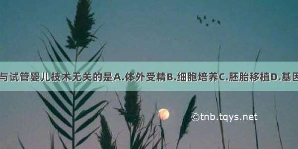 以下与试管婴儿技术无关的是A.体外受精B.细胞培养C.胚胎移植D.基因重组