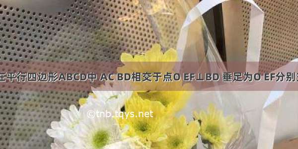 如图所示 在平行四边形ABCD中 AC BD相交于点O EF⊥BD 垂足为O EF分别交AD BC于