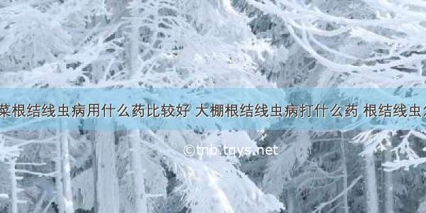 大棚蔬菜根结线虫病用什么药比较好 大棚根结线虫病打什么药 根结线虫怎样治？