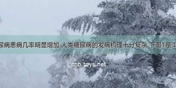 近年来糖尿病患病几率明显增加 人类糖尿病的发病机理十分复杂 下图1是Ⅰ型 Ⅱ型两