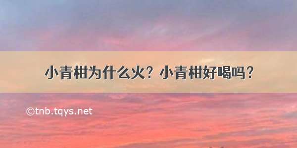 小青柑为什么火？小青柑好喝吗？