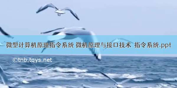 微型计算机原理指令系统 微机原理与接口技术  指令系统.ppt