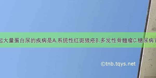 下列不易引起大量蛋白尿的疾病是A.系统性红斑狼疮B.多发性骨髓瘤C.糖尿病肾病D.肾淀粉