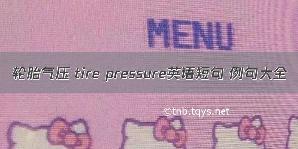 轮胎气压 tire pressure英语短句 例句大全