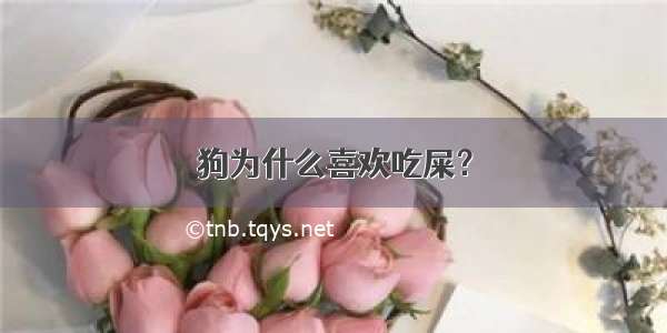 狗为什么喜欢吃屎？