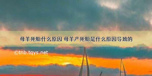 母羊死胎什么原因 母羊产死胎是什么原因导致的