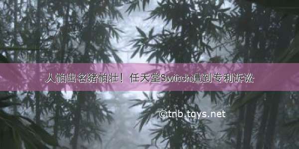 人怕出名猪怕壮！任天堂Switch遭到专利诉讼