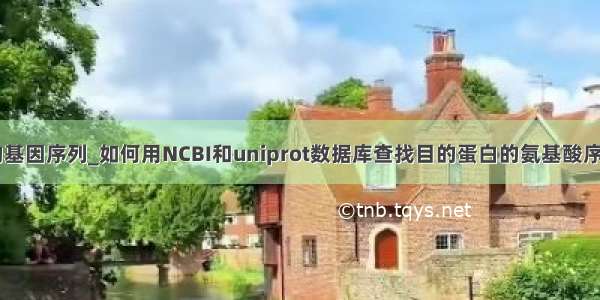 ncbi查找目的基因序列_如何用NCBI和uniprot数据库查找目的蛋白的氨基酸序列或目的基因