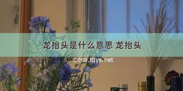 龙抬头是什么意思 龙抬头