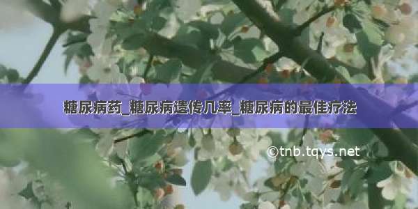 糖尿病药_糖尿病遗传几率_糖尿病的最佳疗法