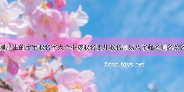 刚出生的宝宝取名字大全小孩取名婴儿取名周易八字起名测名改名