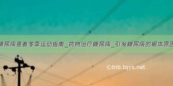 糖尿病患者冬季运动指南_药物治疗糖尿病_引发糖尿病的根本原因