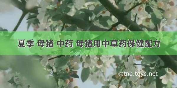 夏季 母猪 中药 母猪用中草药保健配方