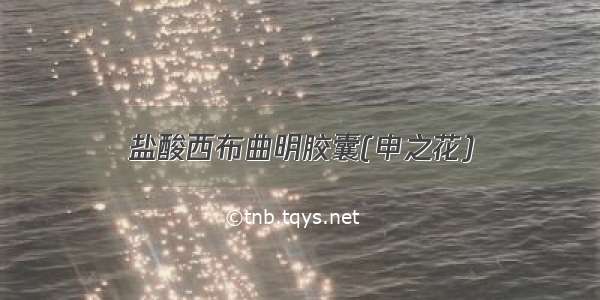 盐酸西布曲明胶囊(申之花)