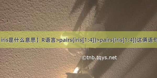 【iris是什么意思】R语言>pairs(iris[1:4])>pairs(iris[1:4])这俩语句....