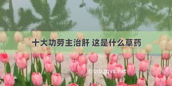 十大功劳主治肝 这是什么草药