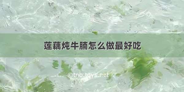 莲藕炖牛腩怎么做最好吃