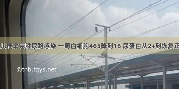 小儿推拿完胜尿路感染 一周白细胞465降到16 尿蛋白从2+到恢复正常