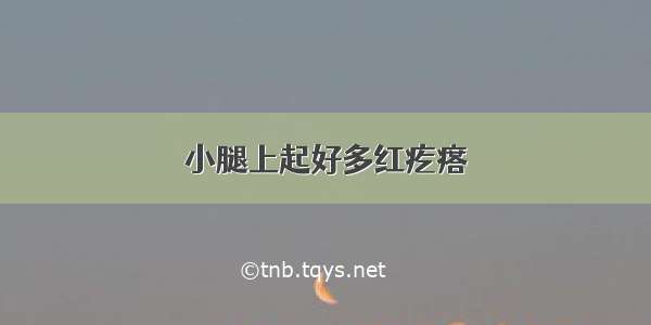 小腿上起好多红疙瘩