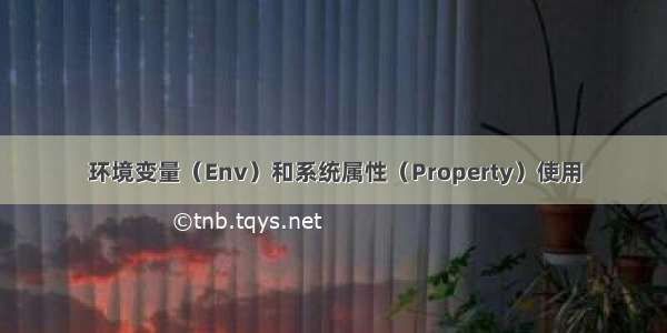 环境变量（Env）和系统属性（Property）使用