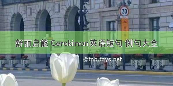 舒丽启能 Cerekinon英语短句 例句大全