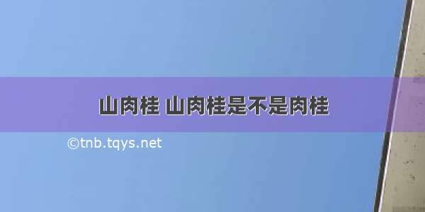 山肉桂 山肉桂是不是肉桂