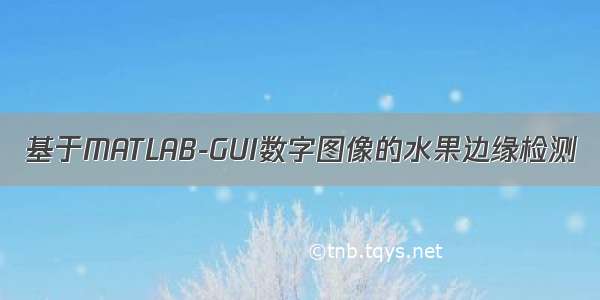 基于MATLAB-GUI数字图像的水果边缘检测