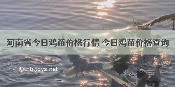 河南省今日鸡苗价格行情 今日鸡苗价格查询