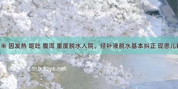 患儿1岁半 因发热 呕吐 腹泻 重度脱水入院。经补液脱水基本纠正 现患儿精神萎靡