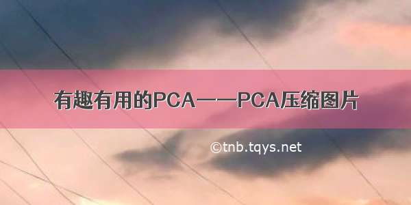 有趣有用的PCA——PCA压缩图片