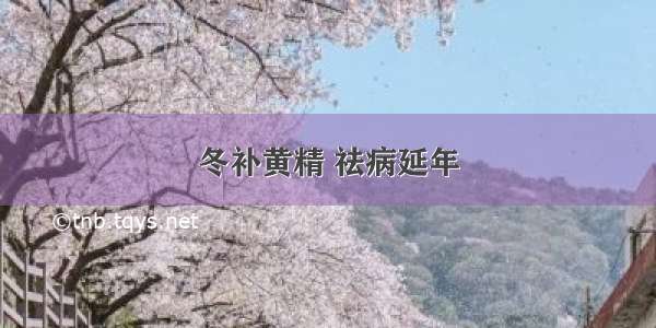 冬补黄精 祛病延年