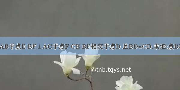 如图 CE⊥AB于点E BF⊥AC于点F CE BF相交于点D 且BD=CD.求证:点D在∠BAC的