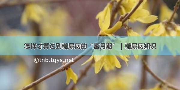 怎样才算达到糖尿病的“蜜月期”｜糖尿病知识